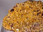 Wulfeniet Kristallen op matrix - Hoogte: 10 cm - Breedte: 5, Verzamelen