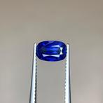 1 pcs Blauw Saffier - 1.61 ct - Gemological Institute of, Nieuw
