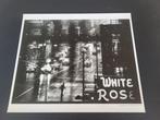 Eugene Smith (1918-1978) from Magnum Photos - White Rose,, Antiek en Kunst, Kunst | Designobjecten