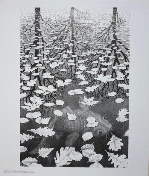 M.C. Escher - Original offset poster - Three worlds, Antiek en Kunst, Antiek | Glas en Kristal
