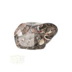 Turitella Agaat trommelsteen Nr 30 - 31 gram, Nieuw, Verzenden