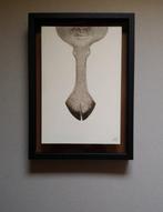 Meret Oppenheim (1913-1985) - The Mirror of Genoveva, Antiek en Kunst