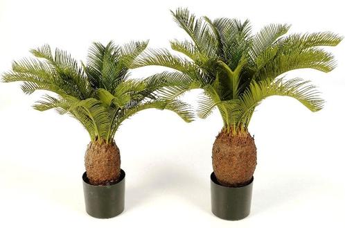 Kunstplant Cycas Palm 65 cm, Huis en Inrichting, Kamerplanten
