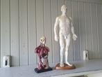Anatomisch model - Kunststof, hout en rubber - 1990-2000 - 2, Antiek en Kunst