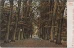HAARLEM - Kleine Houtweg, Verzenden, Gelopen