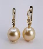 Oorbellen - 14 karaat Geel goud, 11x12mm gouden South Sea, Nieuw