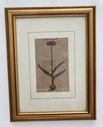 Jacob Theodor Tabernaemontanus (1522 .- 1590) - Neuw, Antiek en Kunst, Antiek | Boeken en Bijbels