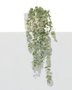 HEMA Kunstplant eucalyptus van €8.69 voor €6 sale, Verzenden