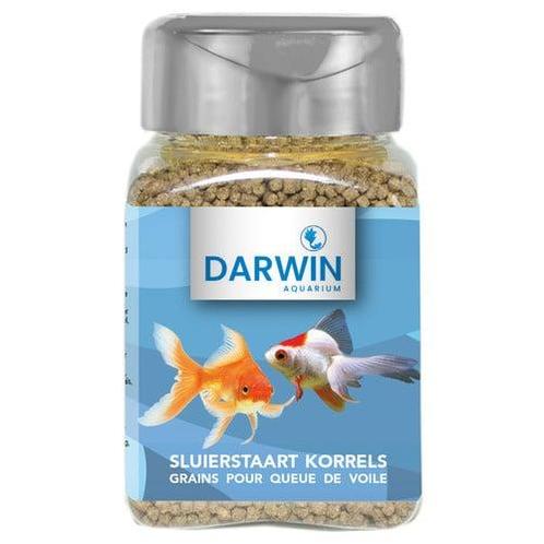 Darwin Sluierstaart korrels 100ml, Dieren en Toebehoren, Vissen | Aquaria en Toebehoren, Ophalen of Verzenden