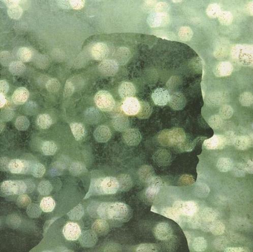 lp nieuw - BenoÃ®t Pioulard - PrÃ©cis + Temper, Cd's en Dvd's, Vinyl | Rock, Zo goed als nieuw, Verzenden