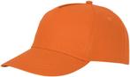 Kingdo Oranje Baseball Cap - Nederlands Elftal, Verzenden, Nieuw