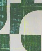 Ronald Hunter - Grid green, Antiek en Kunst, Kunst | Schilderijen | Modern