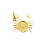 Gouden sterrenbeeld hanger; Kreeft (geelgoud, astrologie), Ophalen of Verzenden, Gebruikt, Goud, Overige merken