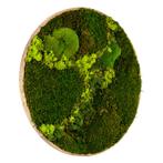 Vintlux Mosschilderij Rond 60 cm Ongelakt Eiken - Svendborg, Nieuw