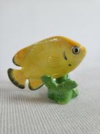 Collectie met dierenthema - Poisson-Ange Citroenzeste –