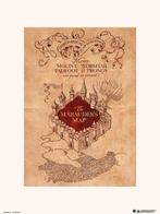 Kunstdruk Harry Potter The Marauders Map 30x40cm, Verzenden, Nieuw