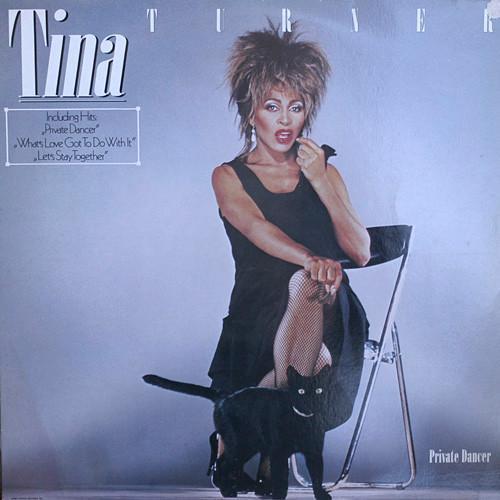 Tina Turner - Private Dancer, Cd's en Dvd's, Vinyl | Pop, Gebruikt, Ophalen of Verzenden