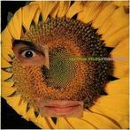 cd - Caetano Veloso - CirculadÃ´, Zo goed als nieuw, Verzenden