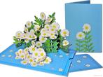 Prachtig Bloeiende Margrieten Bloemen Pop-up Wenskaart, Verzenden, Nieuw