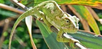 Freek Vonk Tickets | AFAS Live Amsterdam beschikbaar voor biedingen