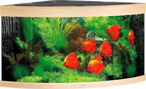 Trigon 350 LED Lichtbruin, Dieren en Toebehoren, Vissen | Aquaria en Toebehoren, Nieuw, Ophalen of Verzenden