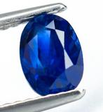 Zonder Minimumprijs Saffier - 1.25 ct - Antwerp Laboratory, Nieuw