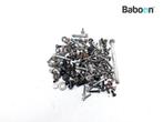 Bouten en Moeren Kawasaki KLX 250 S 2012-2016, Motoren, Onderdelen | Kawasaki, Verzenden, Gebruikt