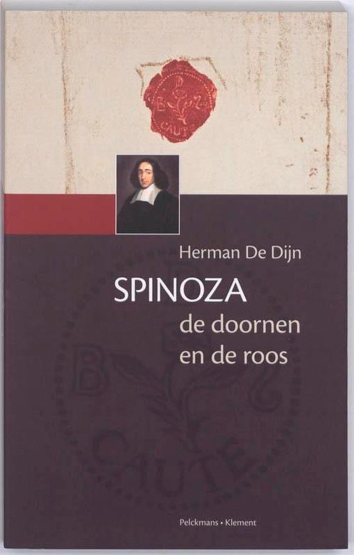 Spinoza 9789086870547 Herman De Dijn, Boeken, Filosofie, Gelezen, Verzenden