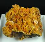 wulfeniet Kristallen op matrix - Hoogte: 43 mm - Breedte: 63, Verzamelen