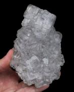 ICE clear FLUORITE uit Spanje (grote kast) - Hoogte: 11.6 cm