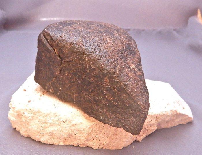 Chondriet Koolhoudende chondrite meteoriet - 306 g - (1), Verzamelen, Mineralen en Fossielen