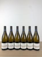 2021 Chanson Beaune Blanc Clos des Mouches - Bourgogne 1er, Verzamelen, Nieuw