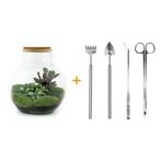DIY terrarium - Teddy -  26,5 cm - Rake + Shovel + Tweezer, Verzenden