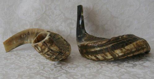 Shofar (Kosher) voornamelijk donker gekleurd., Muziek en Instrumenten, Blaasinstrumenten | Hoorns, Verzenden