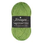 Scheepjes Truly Scrumptious - 326 Matcha Chiffon Cake, Hobby en Vrije tijd, Breien en Haken, Ophalen of Verzenden, Nieuw, Breien of Haken