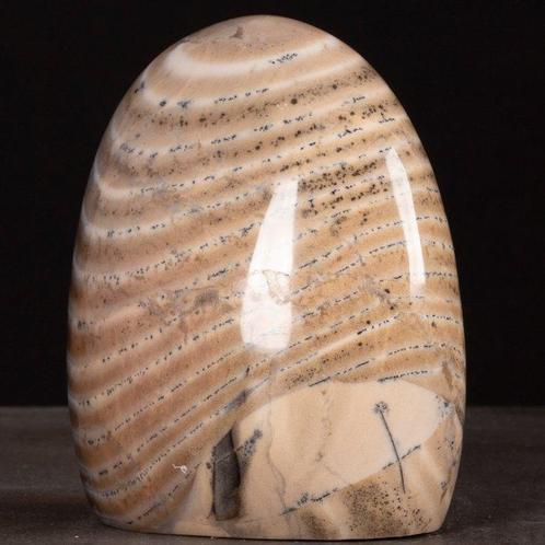 Zebra Agaat met Dendrieten: De Natuurlijke Harmonie tussen, Verzamelen, Mineralen en Fossielen