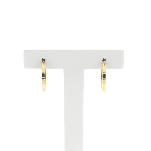 Gouden oorringen | Ø 16,5 mm (scharnier, oorbellen), Sieraden, Tassen en Uiterlijk, Oorbellen, Overige kleuren, Gebruikt, Goud