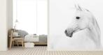 Vlies fotobehang White Arabian horse -  - behang op maat, Huis en Inrichting, Verzenden