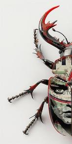 F2B - Beetle Girl II 1I8, Antiek en Kunst