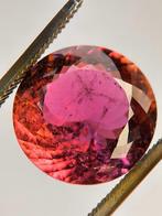 Paars, Rood Toermalijn - 8.59 ct - International Jewellery &, Nieuw