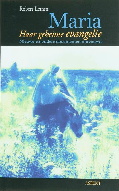 Maria / Aspekt monografie 9789059113954 Robert Lemm, Boeken, Geschiedenis | Wereld, Zo goed als nieuw, Verzenden