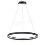 PAUL NEUHAUS Q-Vito Hanglamp LED, antraciet - 79,4 cm, Verzenden, Nieuw