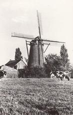 NUTH - Windmolen, Verzamelen, Ansichtkaarten | Nederland, Verzenden, Gelopen