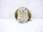 Prachtig raszuivere Britse korthaar kittens beschikbaar, Ontwormd, Meerdere dieren, 0 tot 2 jaar