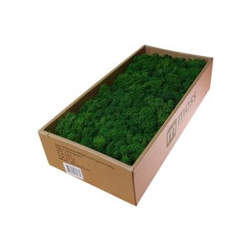 MOSS concepts Rendiermos mosgroen 500 gram beschikbaar voor biedingen
