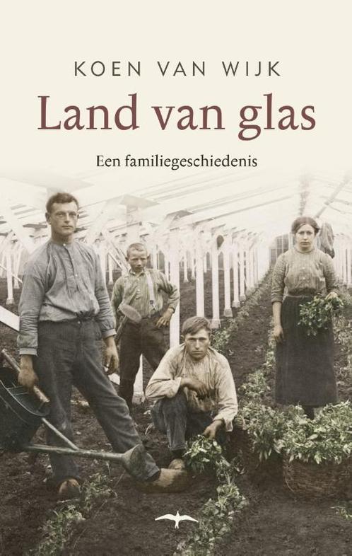 Land van glas 9789400405646 Koen van Wijk, Boeken, Literatuur, Gelezen, Verzenden
