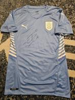 Uruguay - Fede Valverde - Voetbalshirt, Nieuw