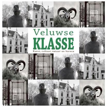 Veluwse Klasse | 9789491826580 | Willem Beemers ; Anne Van, Boeken, Hobby en Vrije tijd, Zo goed als nieuw
