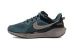 Nike Air Zoom Pegasus 41 SP Faded Spruce, Nieuw