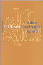 Joel en Amos / Telos / nr. 242 9789060647257 J. Westerink, Boeken, Verzenden, Gelezen, J. Westerink